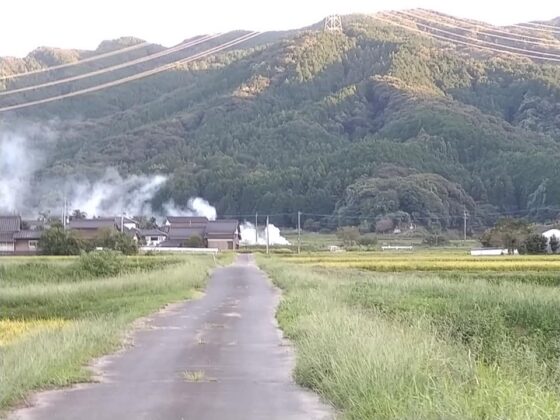 田舎の風景
